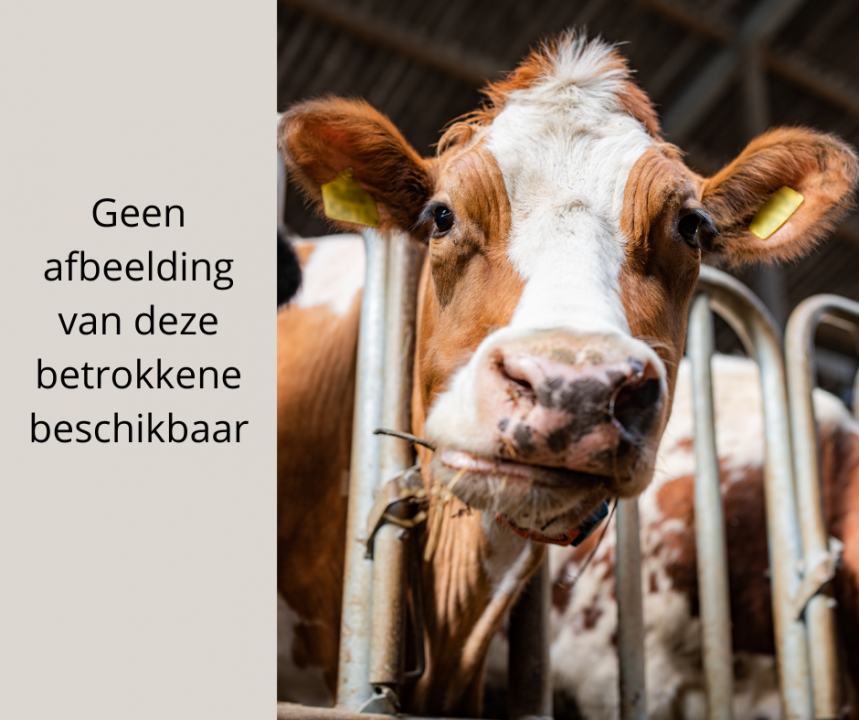 Geen Afbeelding Van Deze Dierenarts Beschikbaar (1)